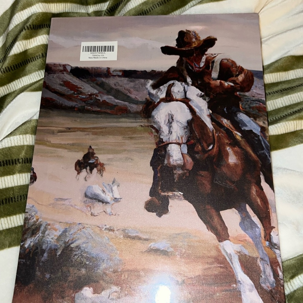 NWT Cowboy Canvas Art